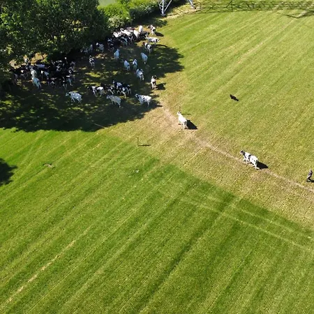 Ulmenhof Melfsen - Gemuetliches Auf Dem Bauernhof Farmház Oeversee